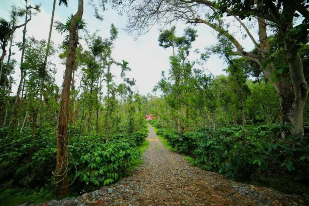 Entire Villa At The Heart Of The Wayanad Forest. Kutta Exterior photo