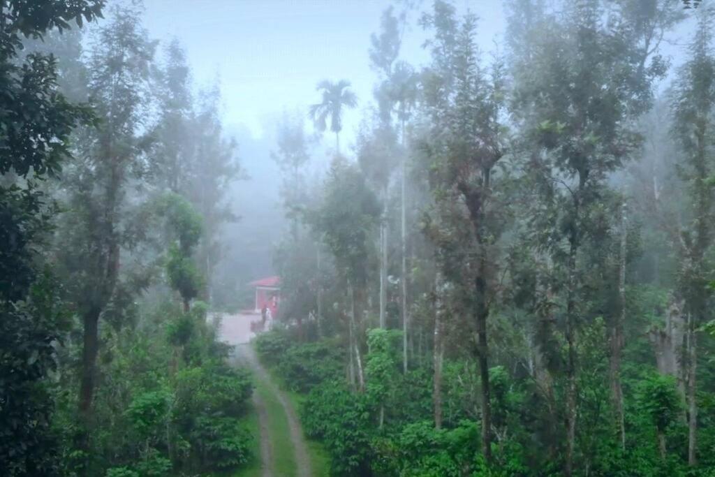 Entire Villa At The Heart Of The Wayanad Forest. Kutta Exterior photo