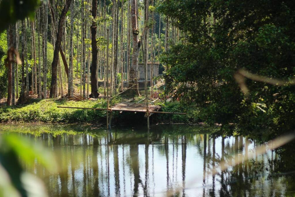 Entire Villa At The Heart Of The Wayanad Forest. Kutta Exterior photo